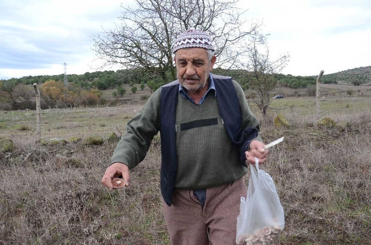Yağan Yağmur Mantarcıları Sevindirdi