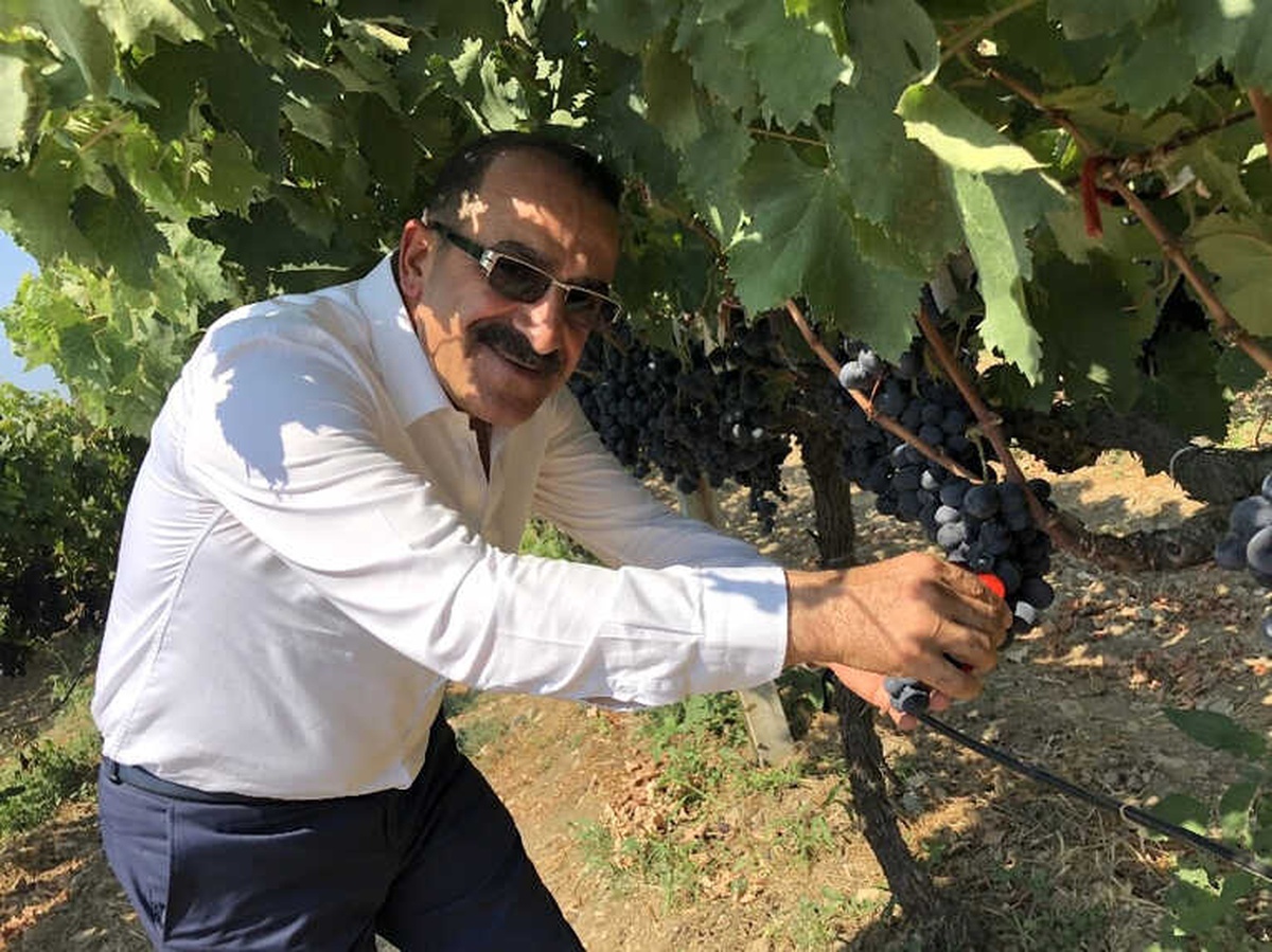 Türk Kiraz ve Üzüm İhracatçılarının Son Rotası Güney Afrika