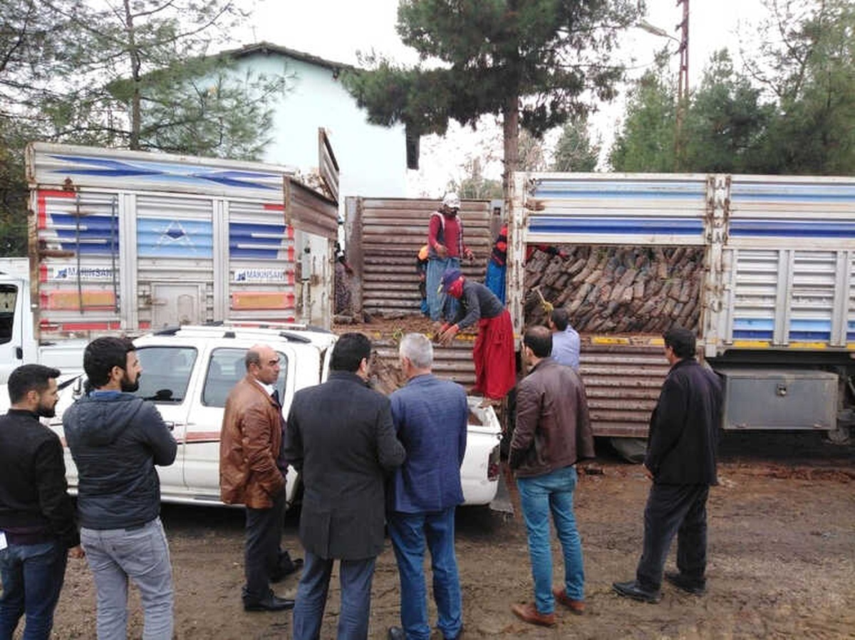 Beşirili Çiftçilere Antep Fıstığı Fidan Dağıtımı Yapıldı