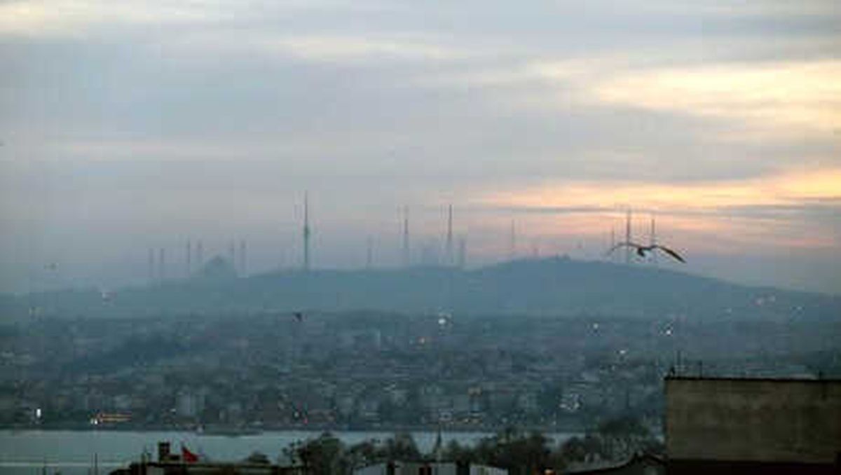 İstanbul\'da Kış Güneşi ve Kuşlar...