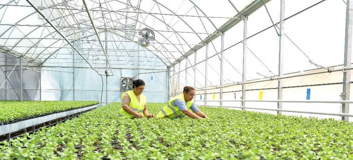 2 Milyon 743 Bin Çiçek Antalya\'yı Güzelleştiriyor