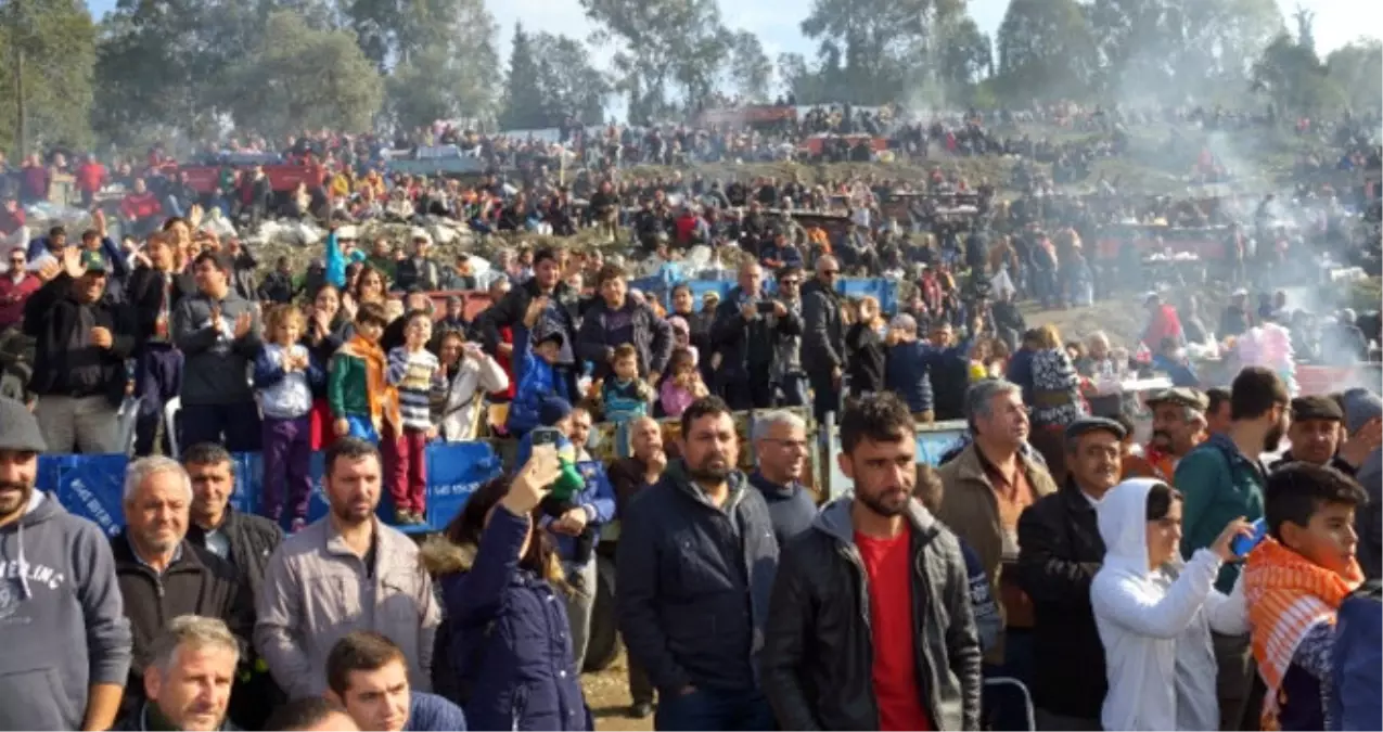 4 Ay Boyunca Devam Edecek Güreşler İçin Vatandaşlar Alanlara Akın Ediyor