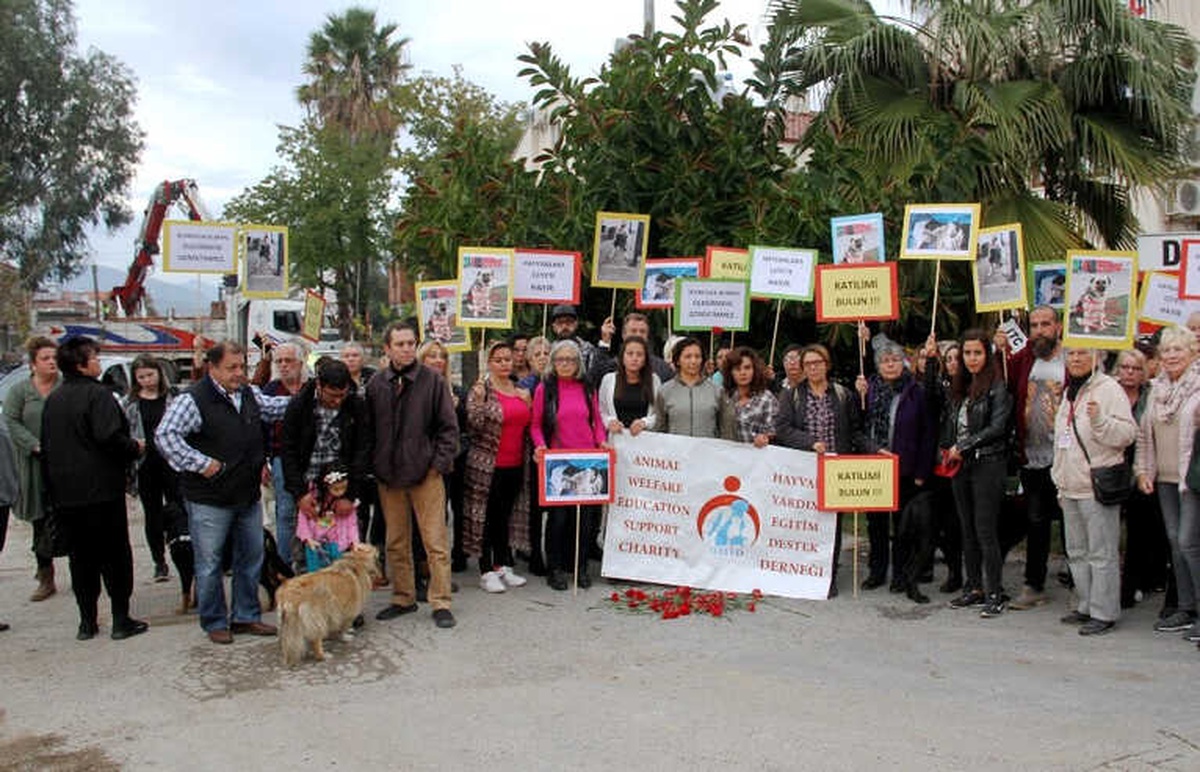 Fethiye\'de İki Köpeğin Zehirlenerek Öldürülmesi Protesto Edildi