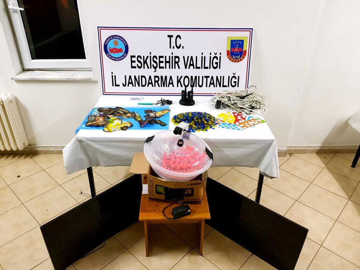 Hayvanları Korumak" Bahanesiyle Kumar Oynattıkları İddiası