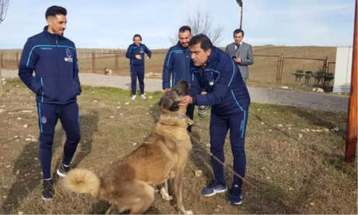 Karaman ve Sosa\'dan Kangal Köpeği Çiftliği\'ne Ziyaret