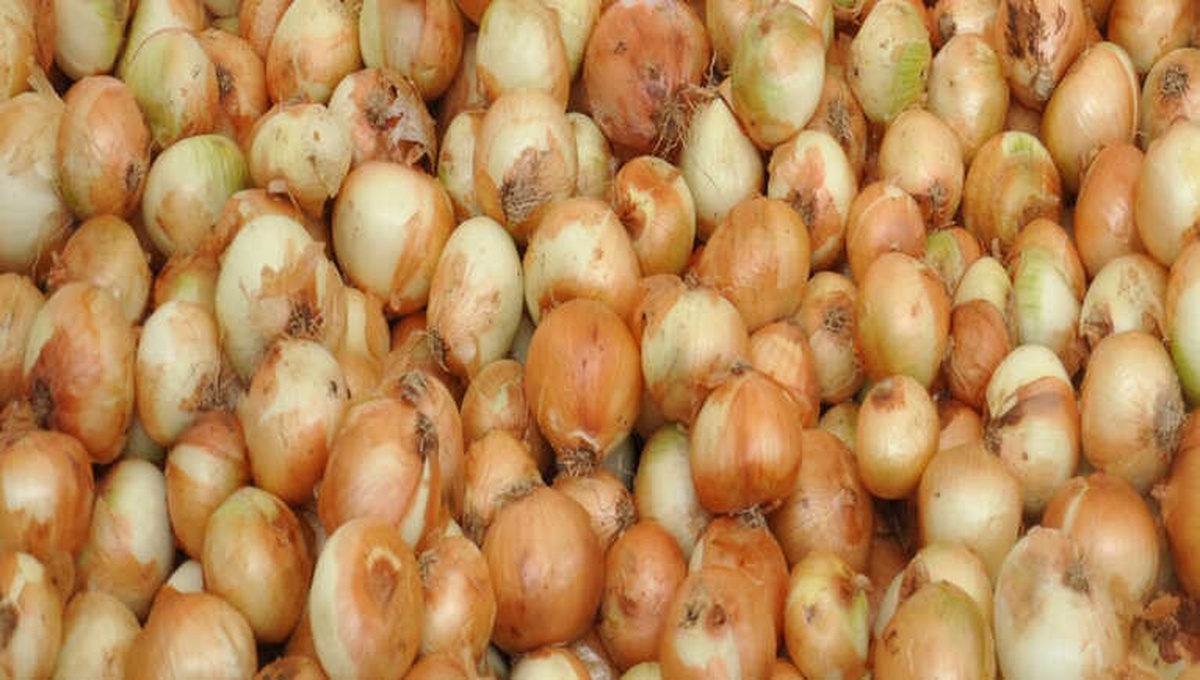 Kasım Ayının Zam Şampiyonu \'Kuru Soğan\'