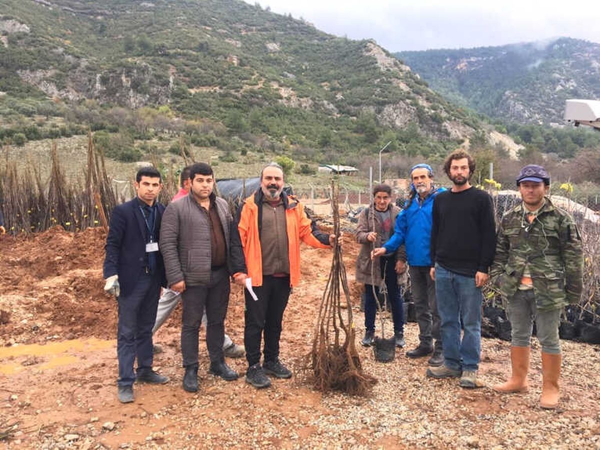 Muğla\'da 31 Bin 705 Adet Fidan Dağıtılıyor