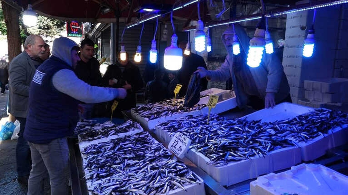 Vatandaş Hamsinin Tekrar Ucuzlamasını Bekliyor