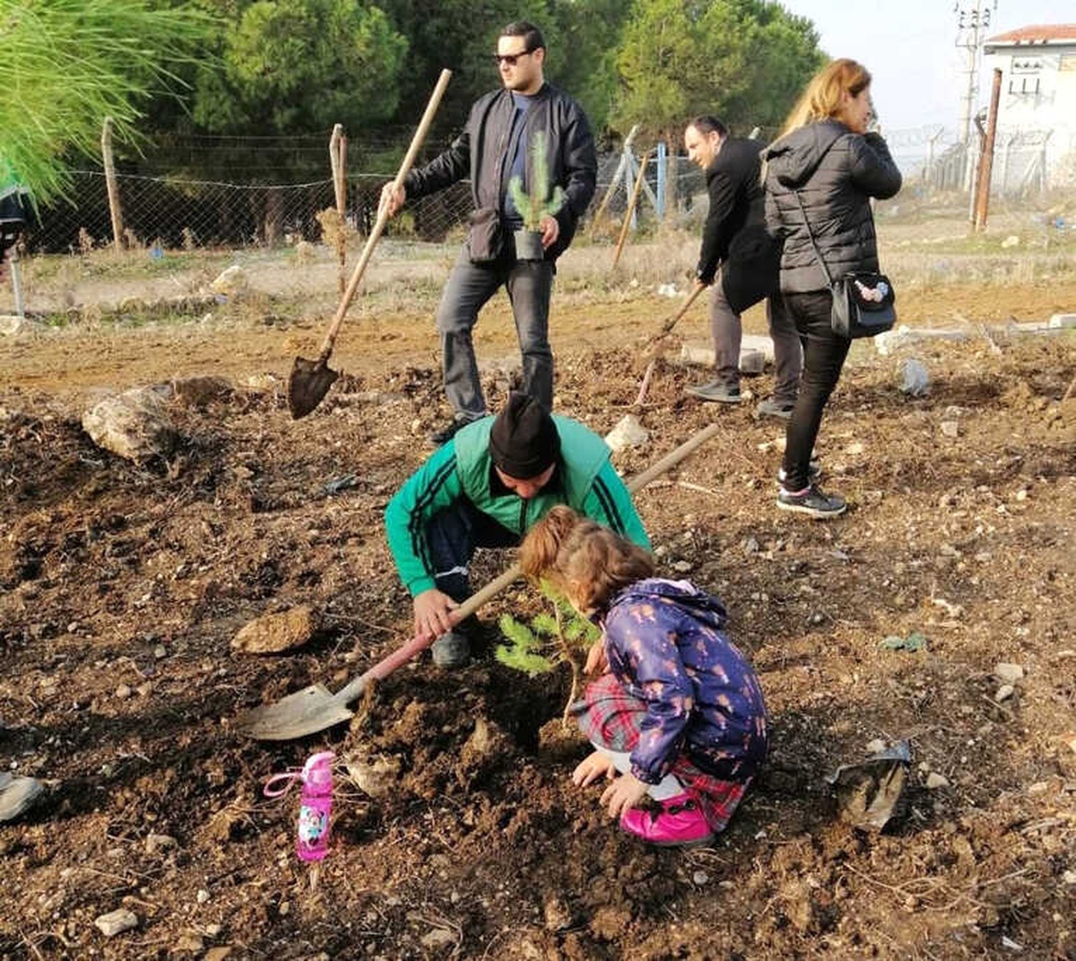 Aliağalı Öğrenciler Çam Fidanı Dikti