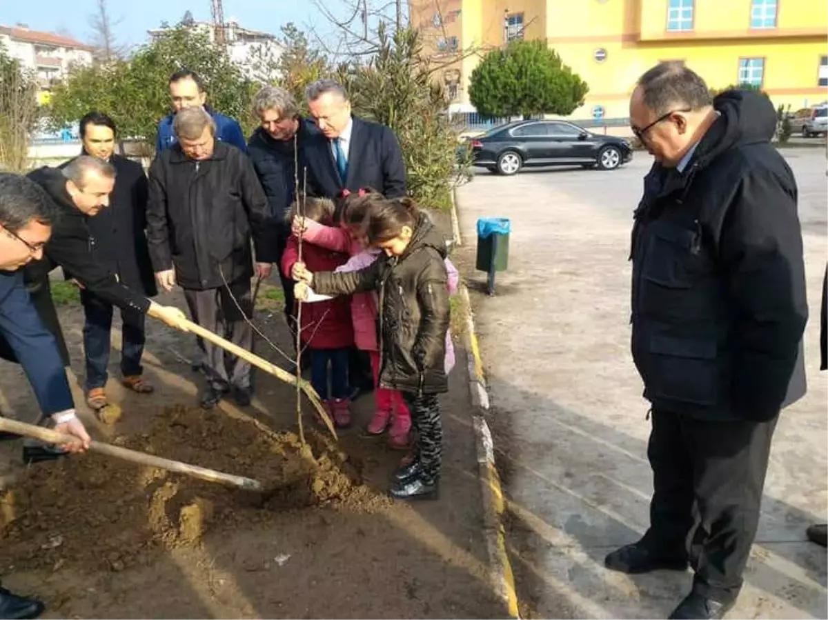 Minik Eller Okullarının Bahçesine Fidan Dikti