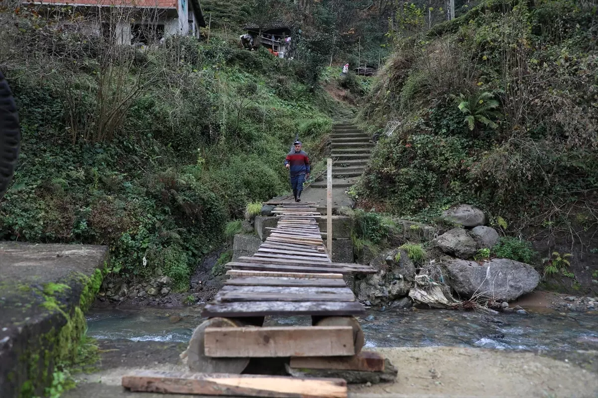 Rize\'de Selin Yıktığı Köprüler Tekrar Yapılacak