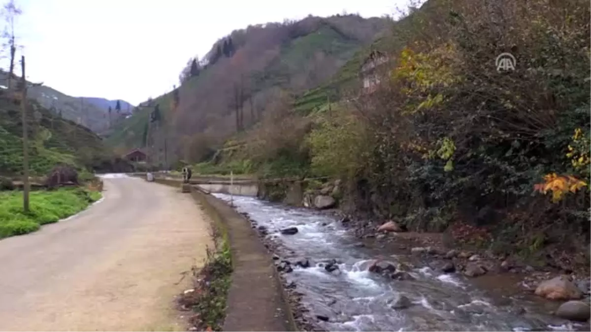 Rize\'de Selin Yıktığı Köprüler Yapılacak