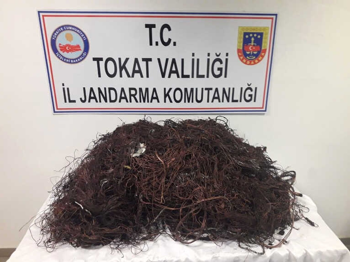 Çaldıkları Kabloyu Yakarken Jandarmaya Yakalandılar