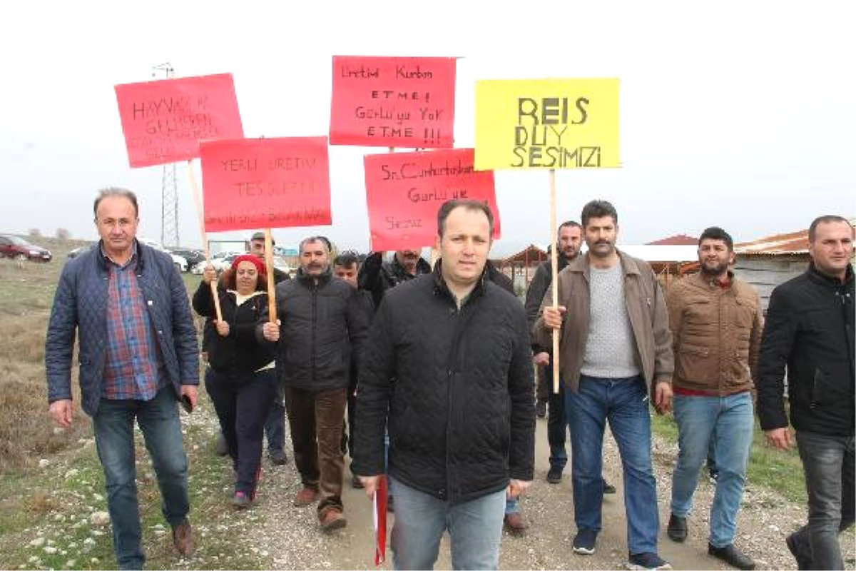 Damızlık Alamayınca Kurdukları Tesis Faaliyete Geçemedi