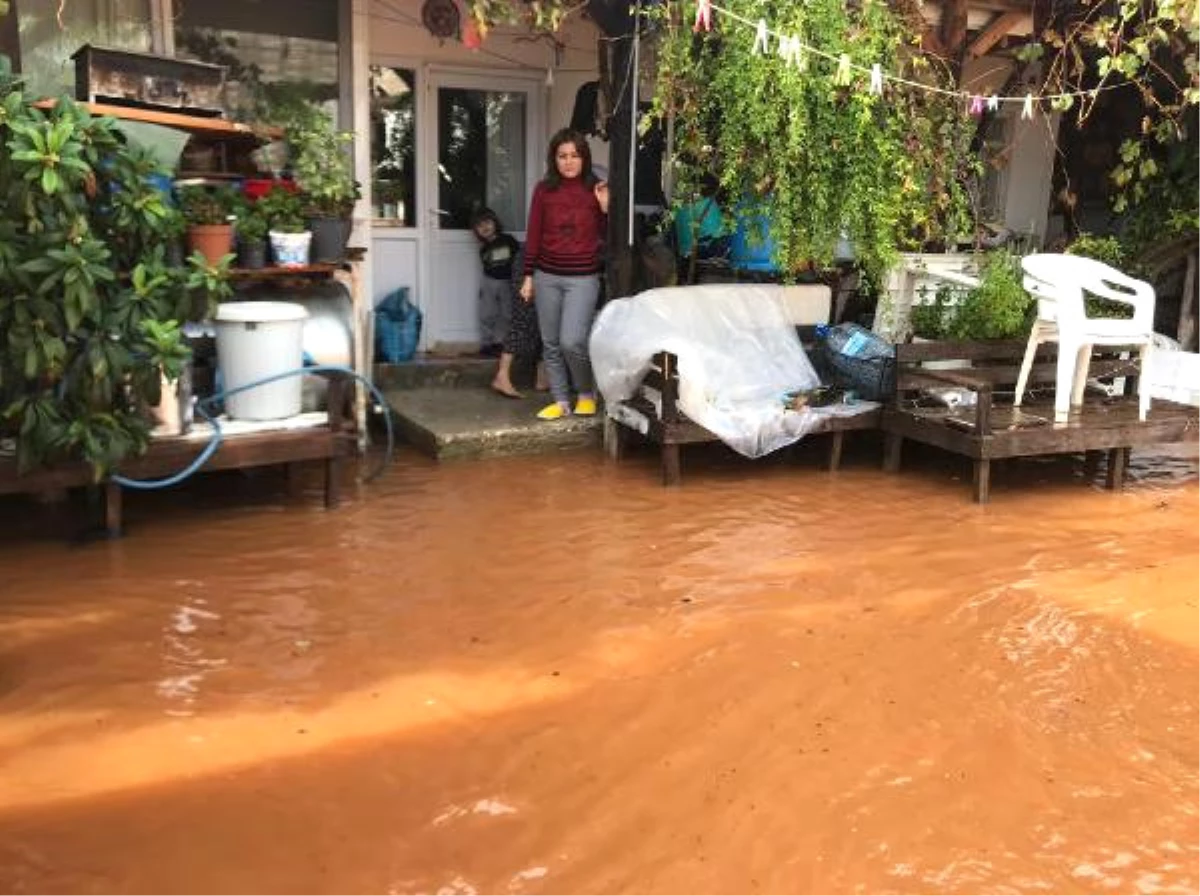 Demre\'de Şiddetli Yağış Seralarda Zarara Yol Açtı