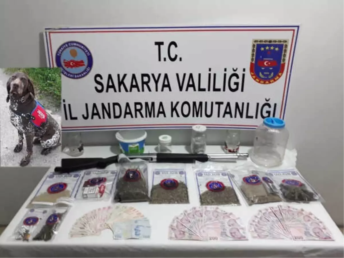 Jandarma Kasım Ayı Uyuşturucu Raporu: 9 Tutuklama