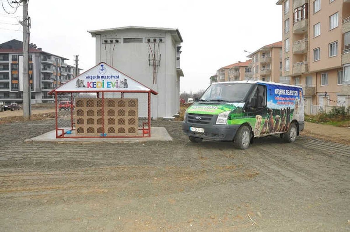 Akşehir Belediyesinden \'Kedi Evi\' Projesi