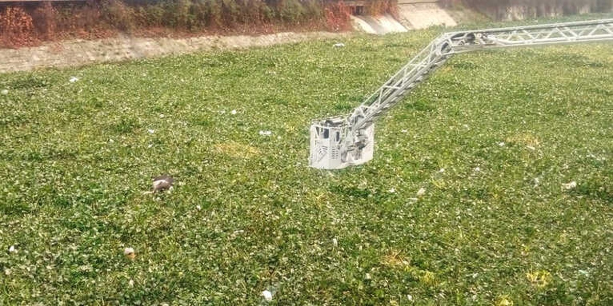 Asi Nehri\'ne Yine İnek Düştü