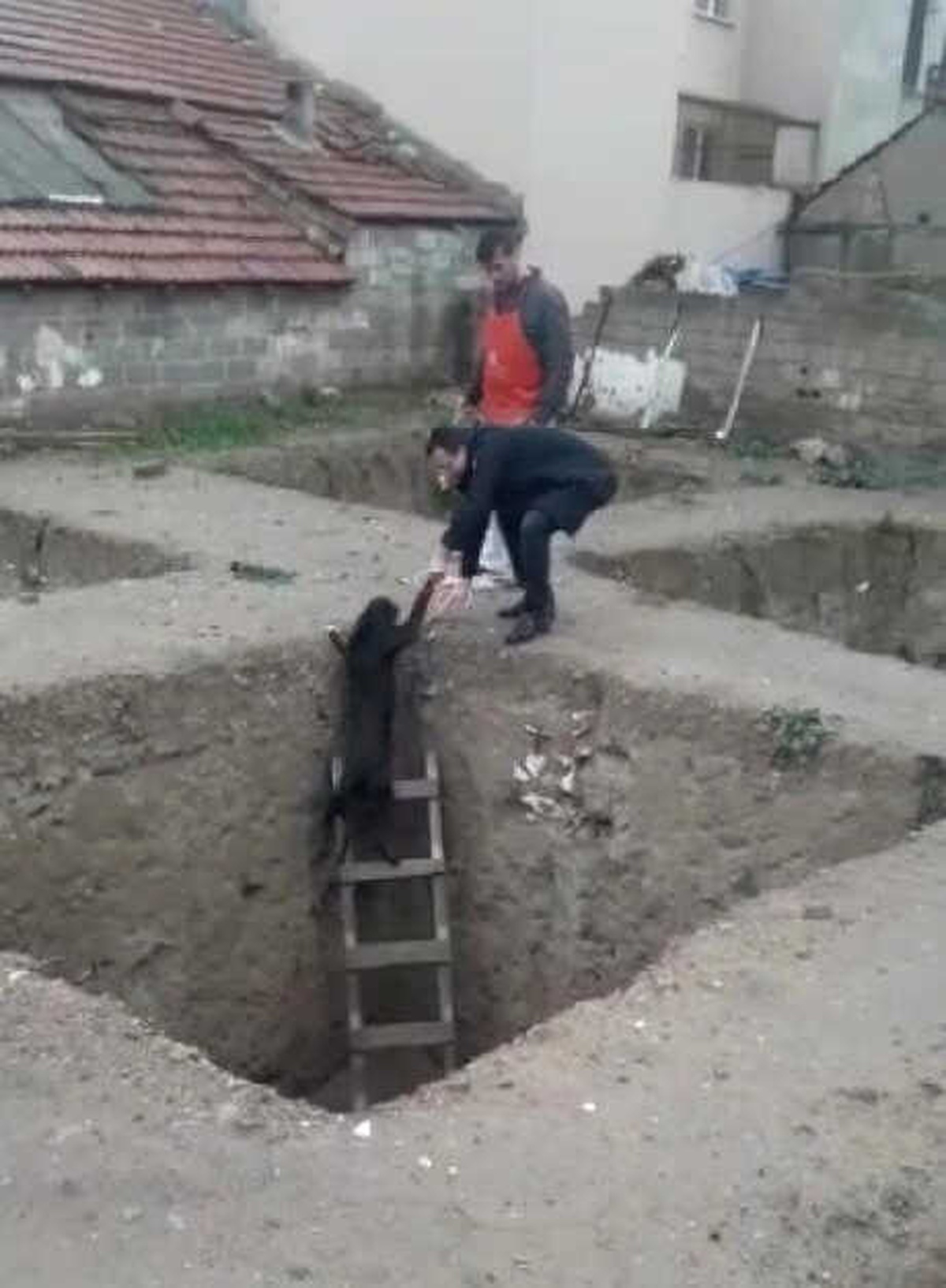 İnşaat Çukuruna Düşen Köpeği Esnaf Kurtardı