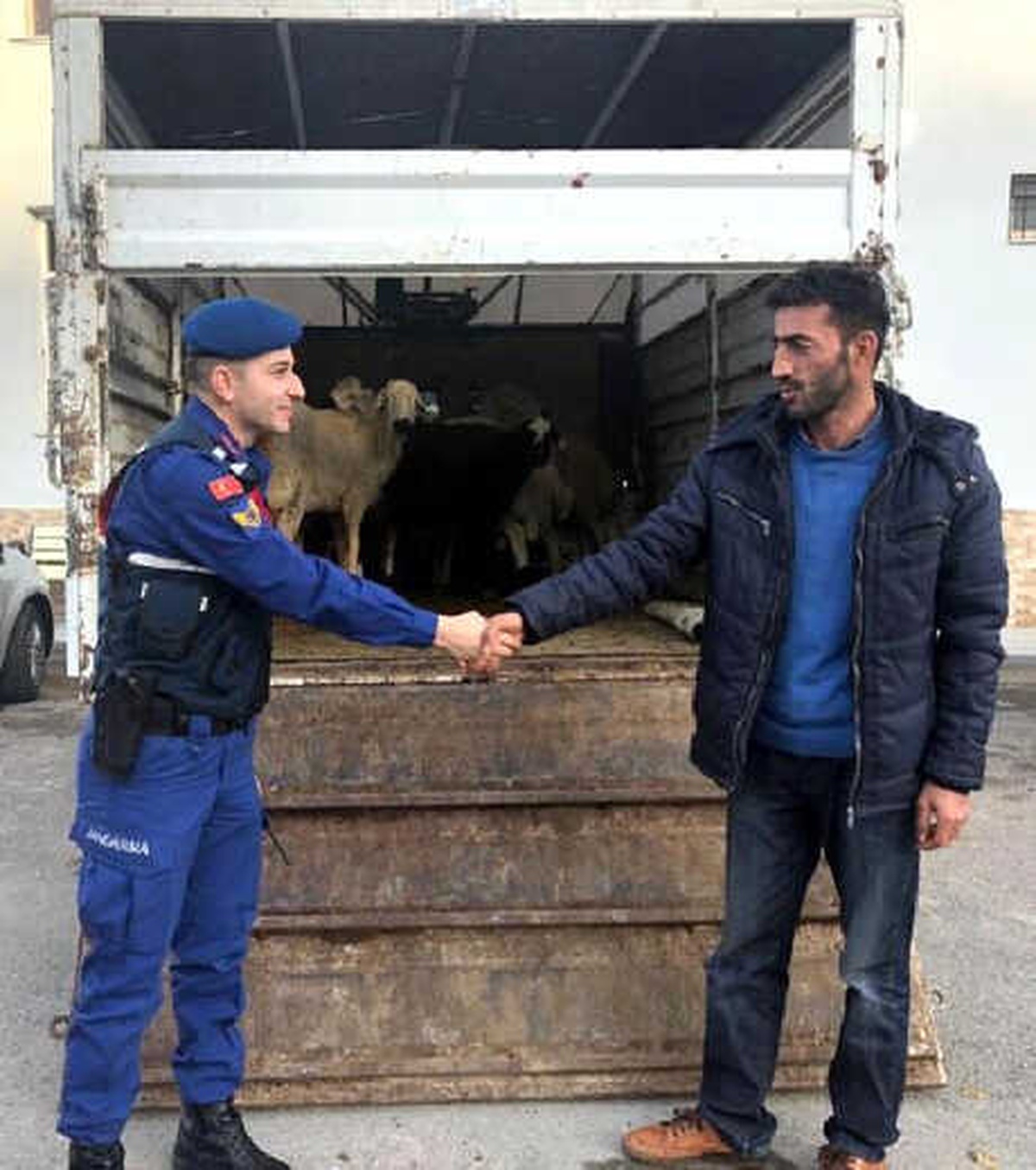 Kayseri\'de Hayvan Hırsızlığına 3 Tutuklama