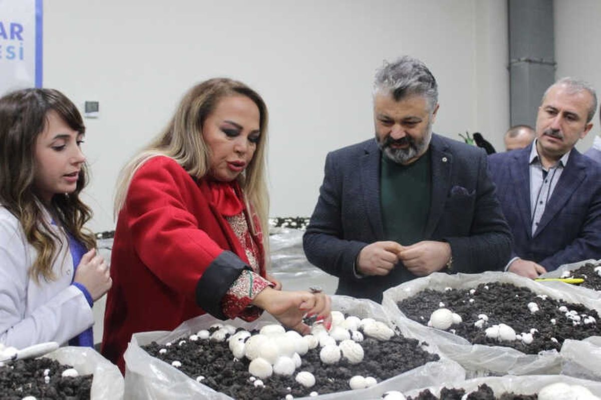 Safiye Soyman: "Engelli Annesi Olarak İsyan Ediyorum"