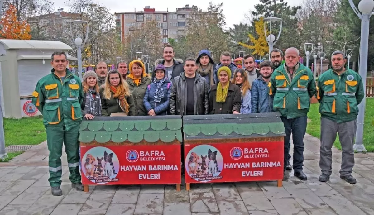 Sokak Köpekleri Artık Üşümeyecek