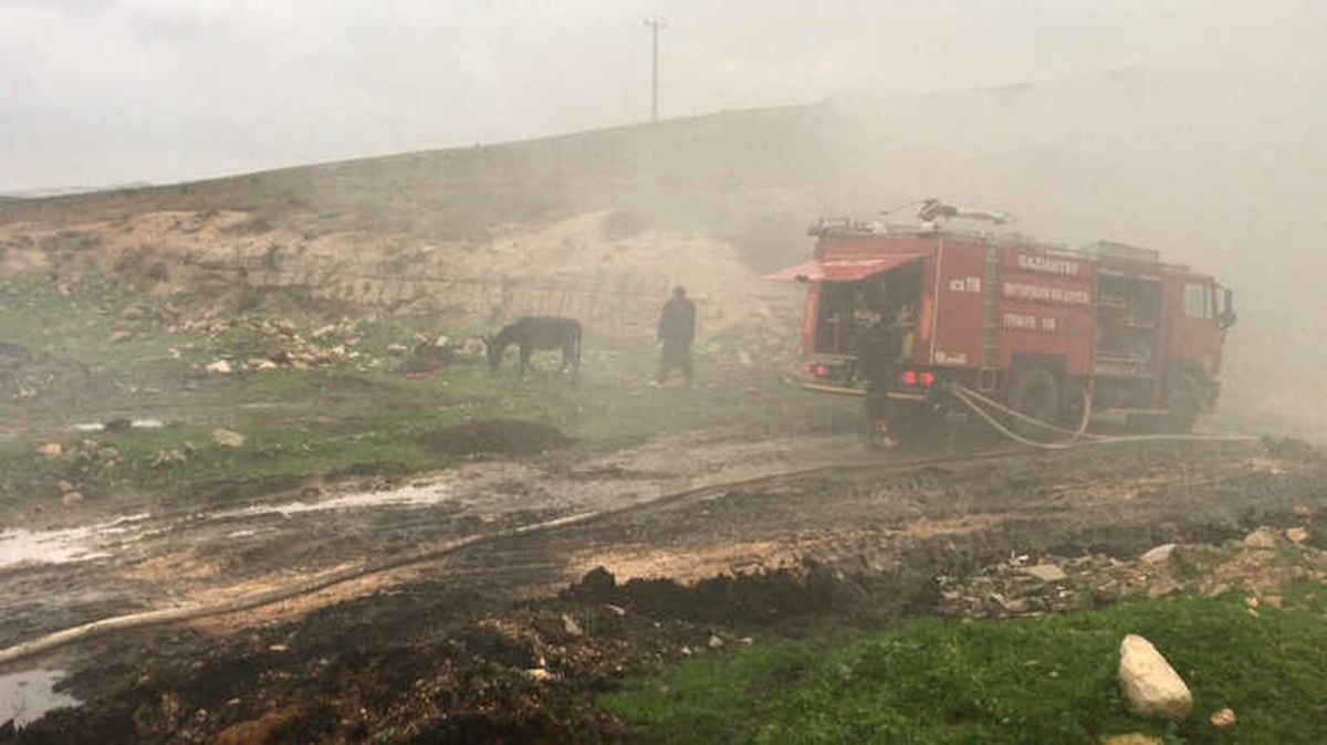 Eşeğin Peşinden Giden Koyunlar Yangında Telef Oldu
