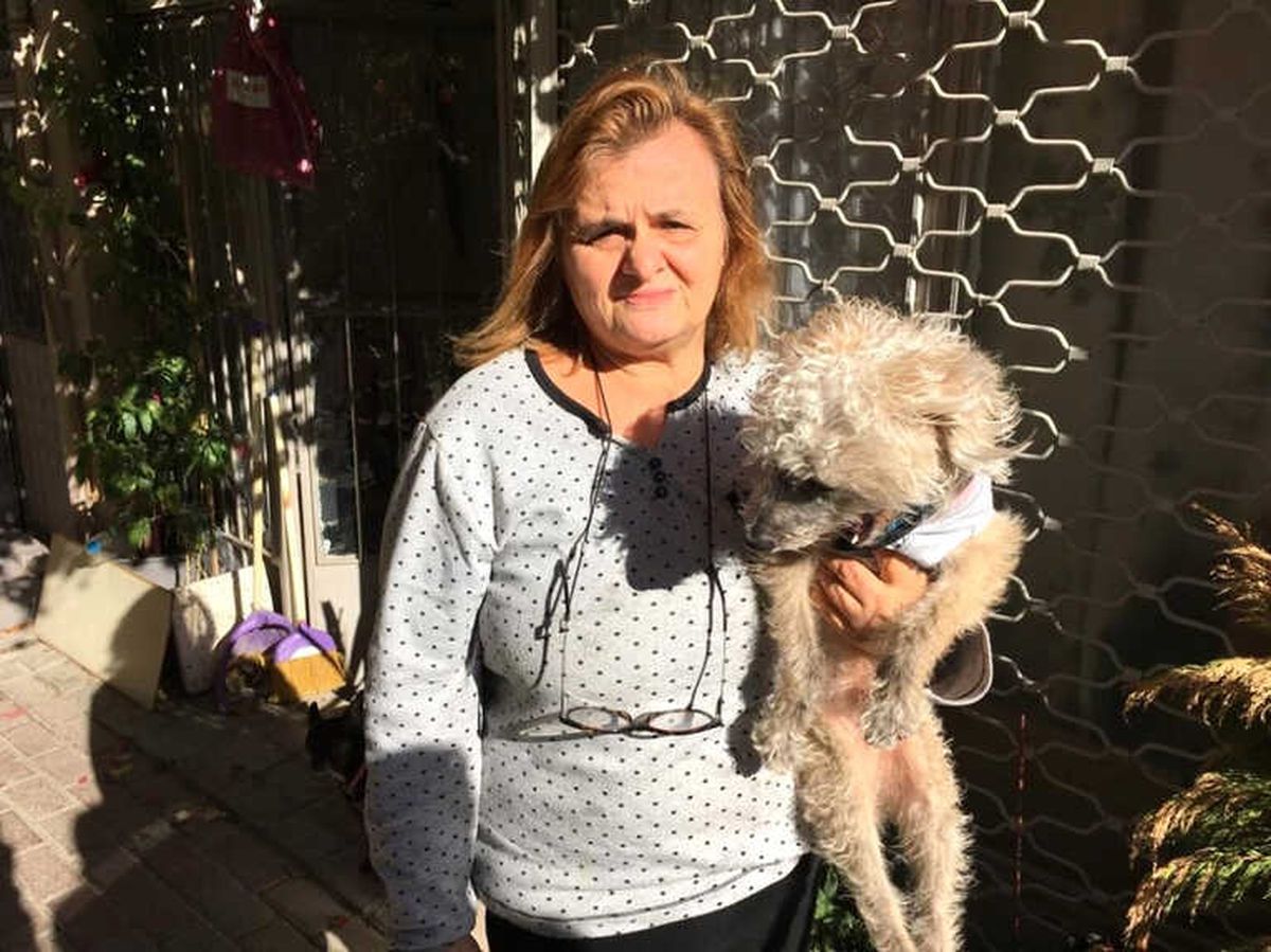 Hayvanseverden Hırsıza Çağrı: "Köpeğimi Getirsin Şikayetimi Çekip Ödül Vereceğim"