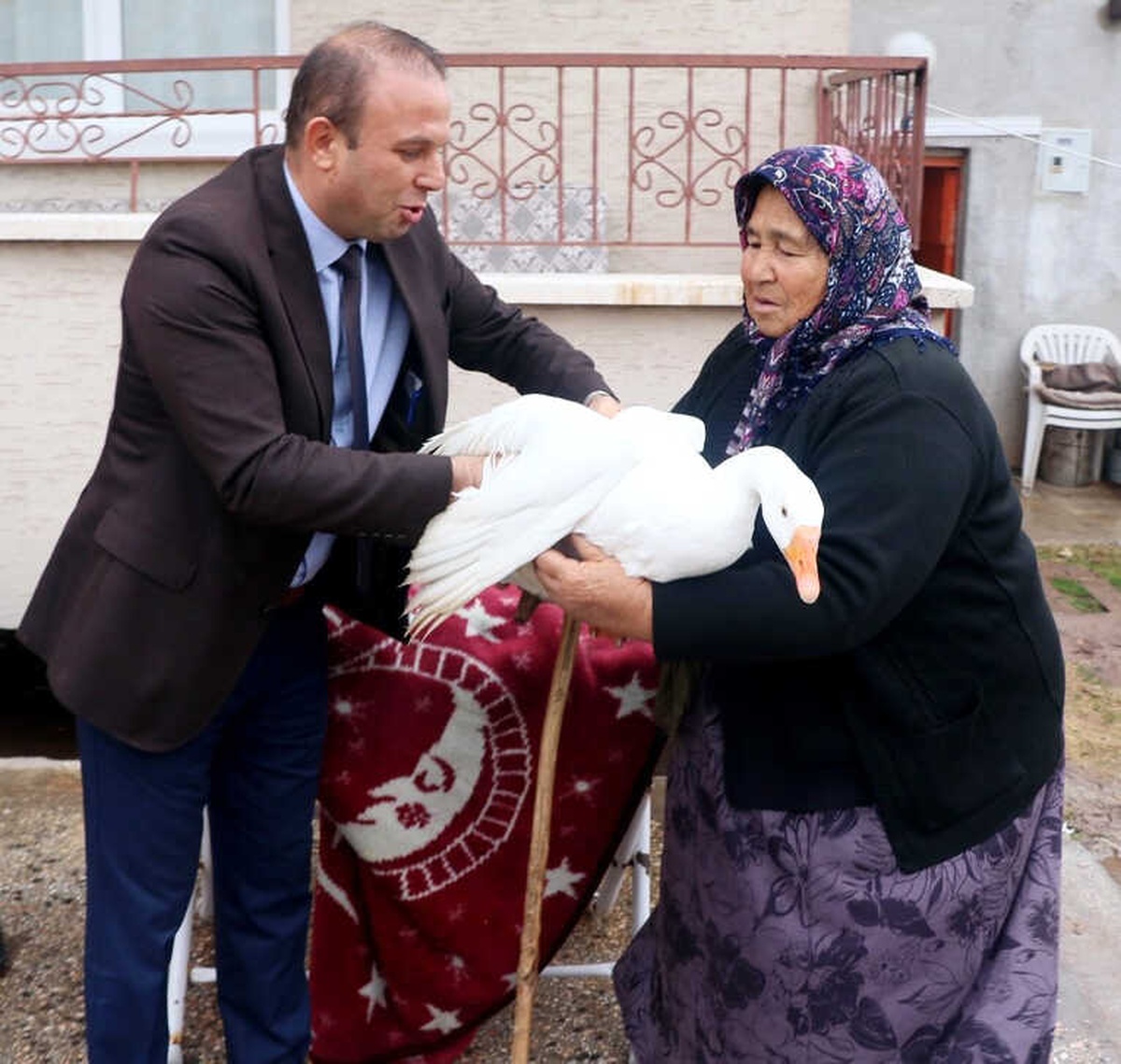 Hindileri Çalınan Fadik Teyze\'ye Hayvan Desteği