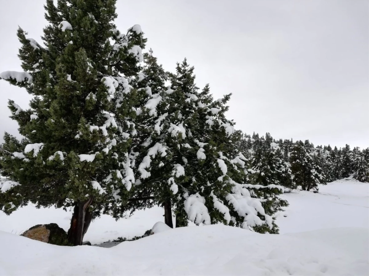 Mersin\'in Yüksek Kesimlerinde Kar Yağışı