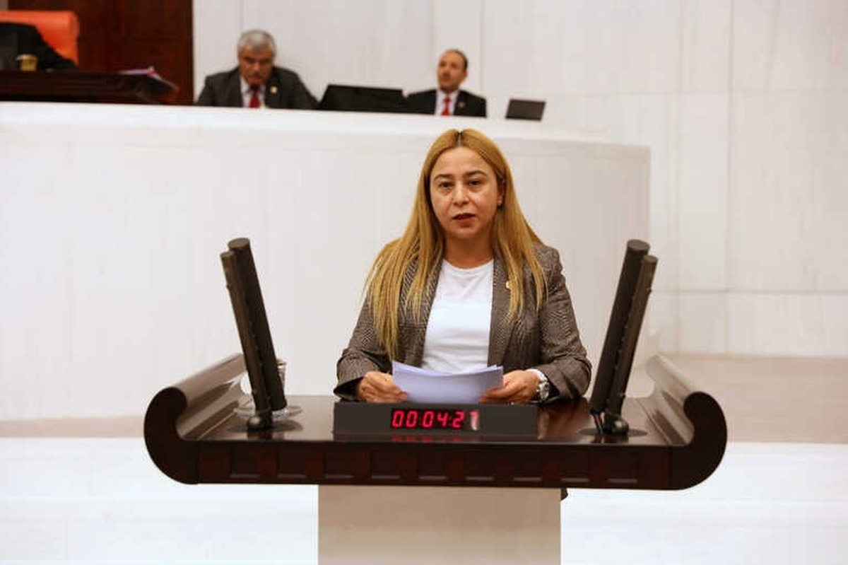Milletvekili Esin Kara\'dan, Mali Müşavirlere Arabuluculuk Talebi