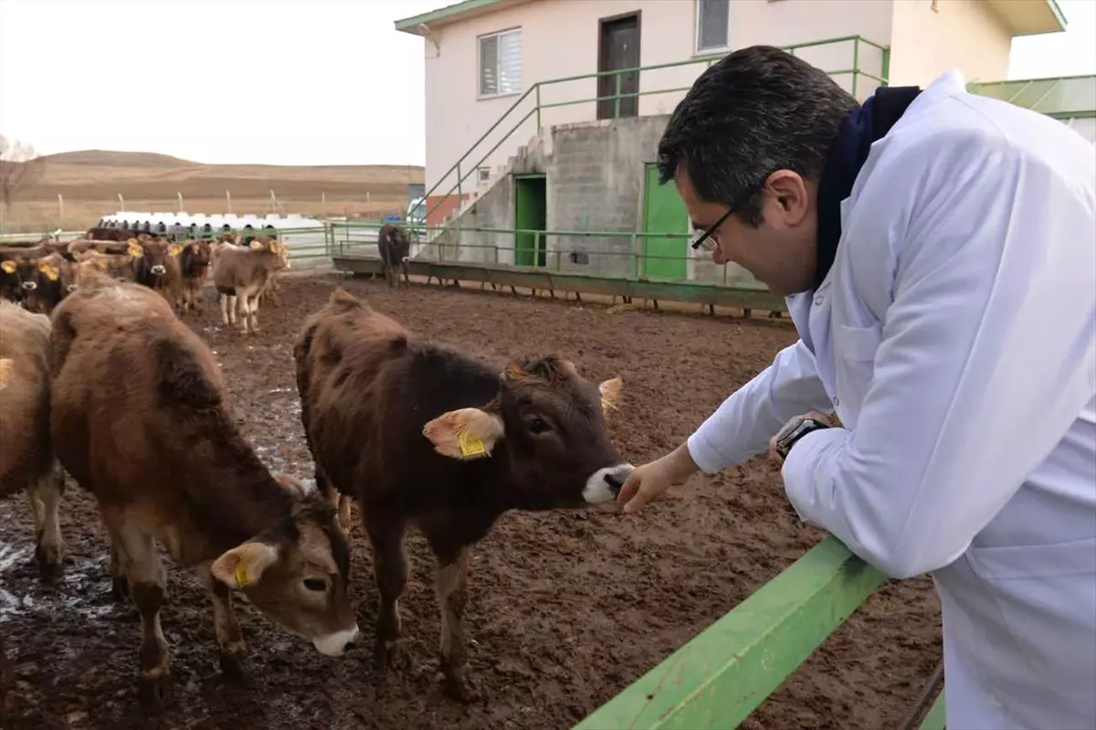 Vali Memiş Çizme Giyerek Sahaya İndi