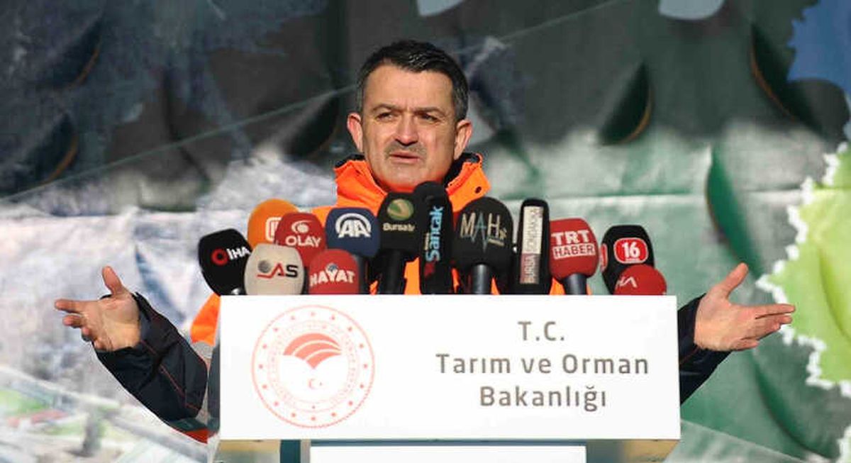 Yanan Ormanlara Villa Yapılamaz"