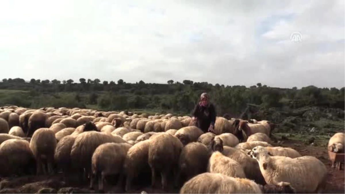 Aa\'nın "Yılın Fotoğrafları" Oylaması