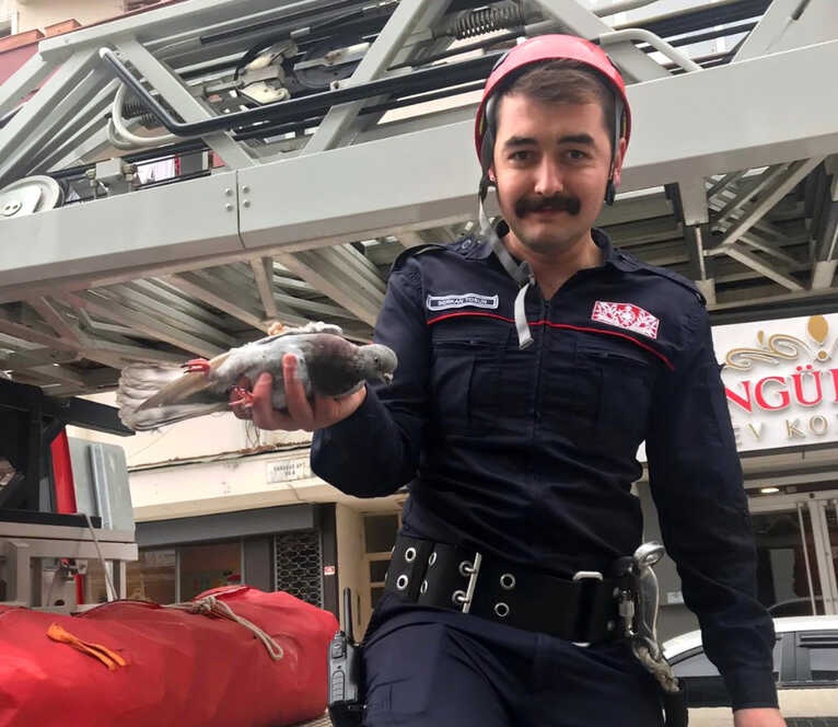 Ağa Takılan Güvercinin Yardımına İtfaiye Koştu
