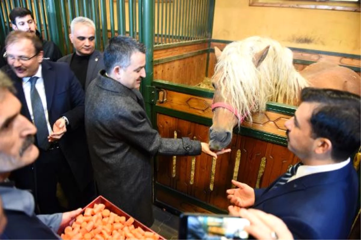 Bakan Pakdemirli, Karacabey Tigem\'de İncelemelerde Bulundu