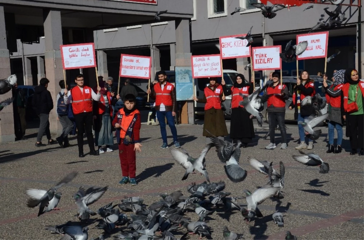 Balıkesirli Genç Kızılaycılar Dünya Gönüllüler Gününü Kutladı