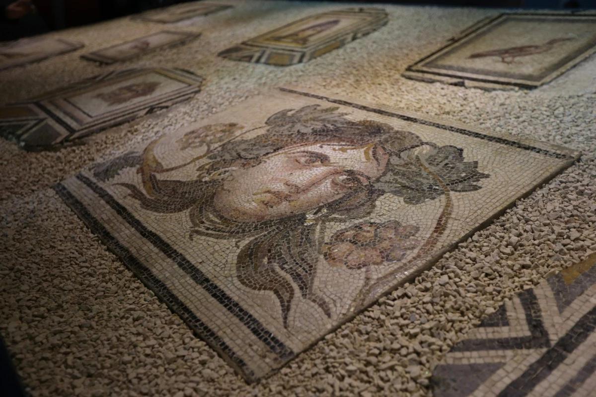 Çingene Kızı Mozaiğinin Eksik Parçaları Tanıtıldı