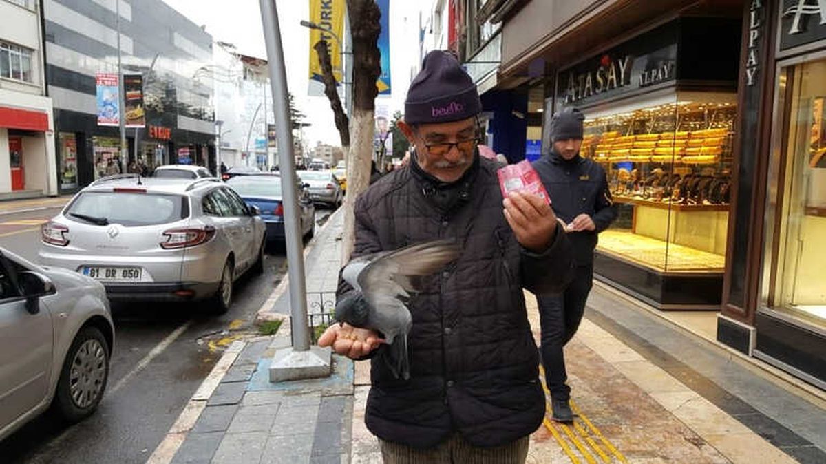 Güvercinleri Avucunda Besliyor