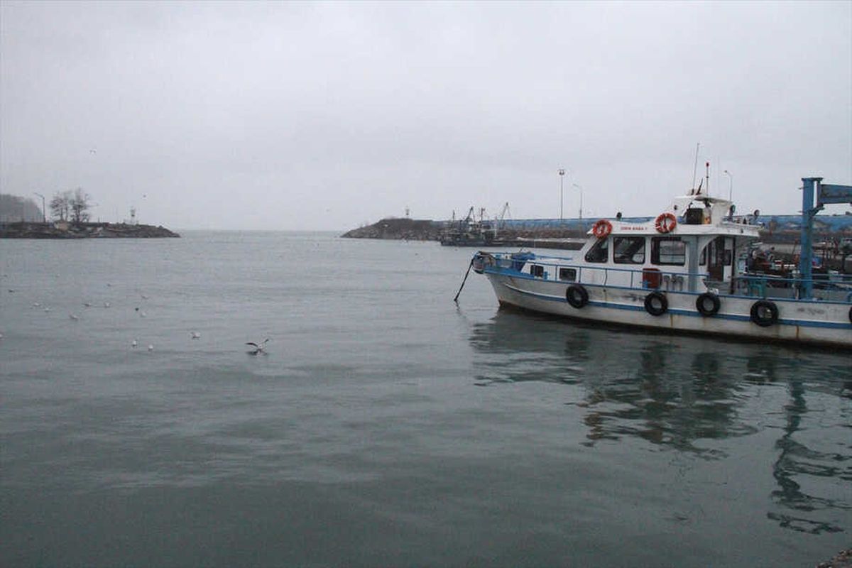 Karadeniz\'de Sürdürülebilir Balıkçılık ve Koruma Alanları Şart"