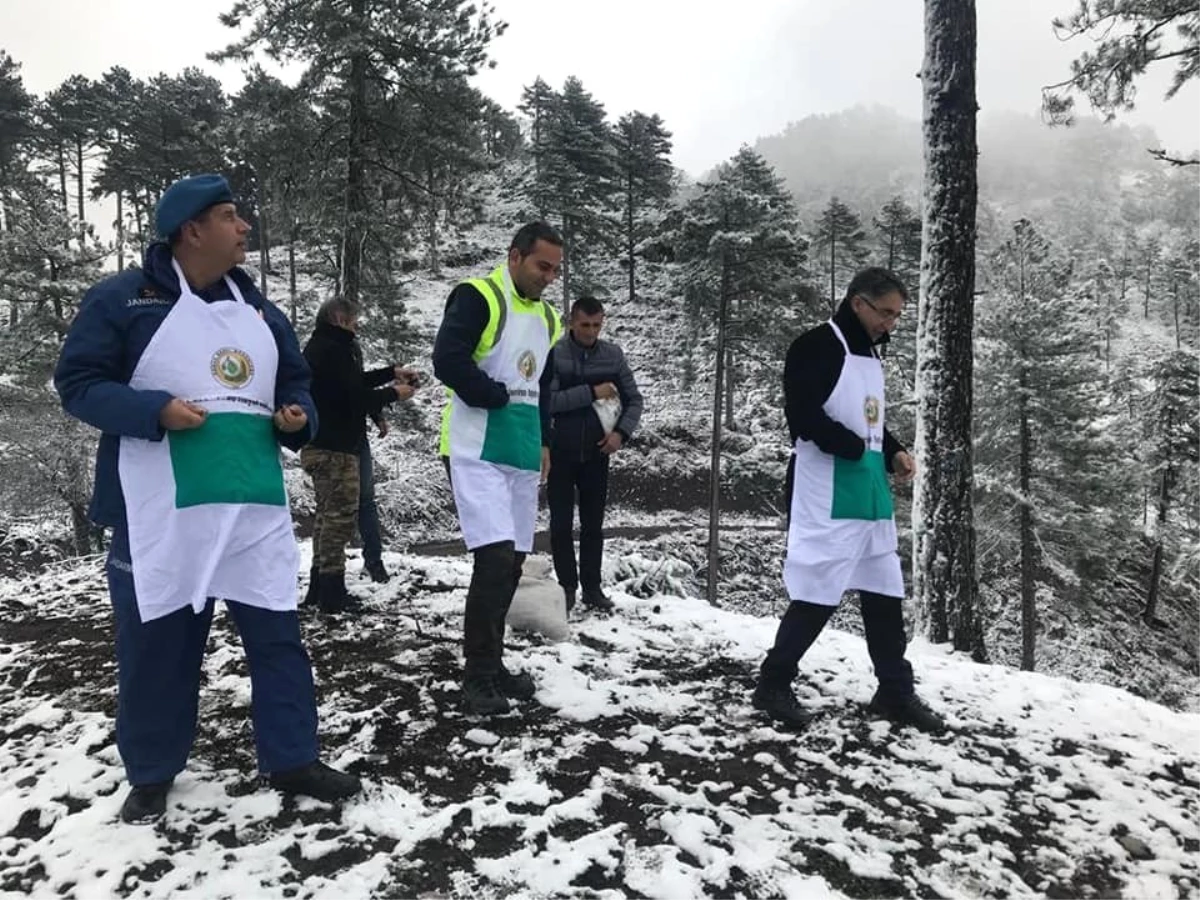 Kaymakam Kar Çamur Demedi Ağaç Dokunu Dikti