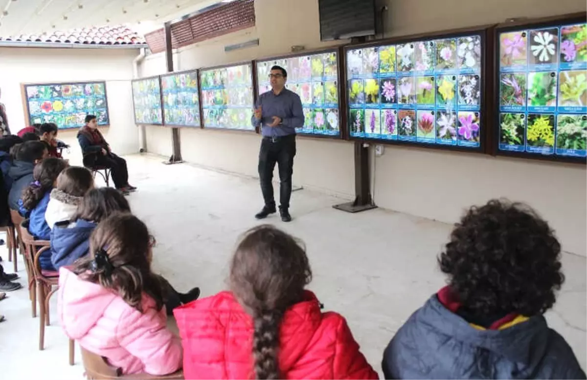 Şifalı Bitkilerin Yer Aldığı Müze, Ecza Deposu Gibi