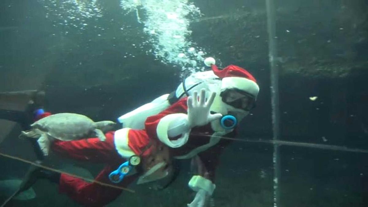Bacadan Beklenen Noel Baba Akvaryumda Görüldü