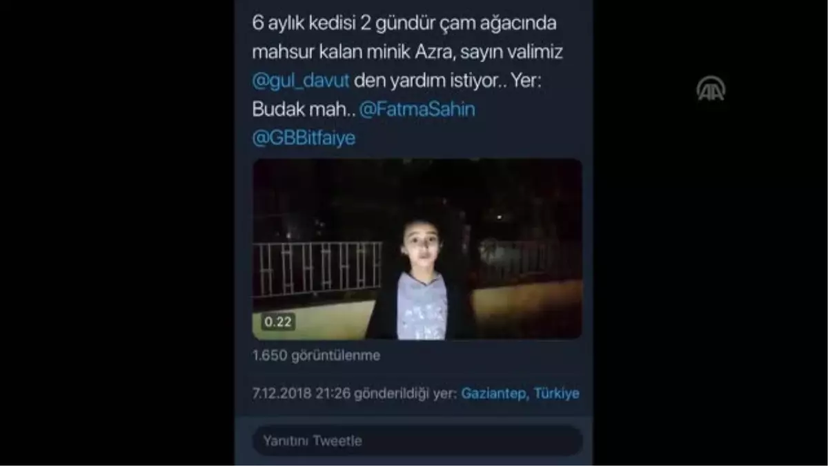 Küçük Elleriyle Hayvanlara Leğenden "Yuva" Yaptı