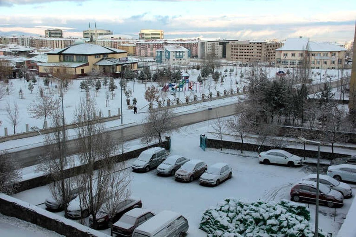 Tipide Mahsur Kalanları Kurt Sürüsü Korkuttu