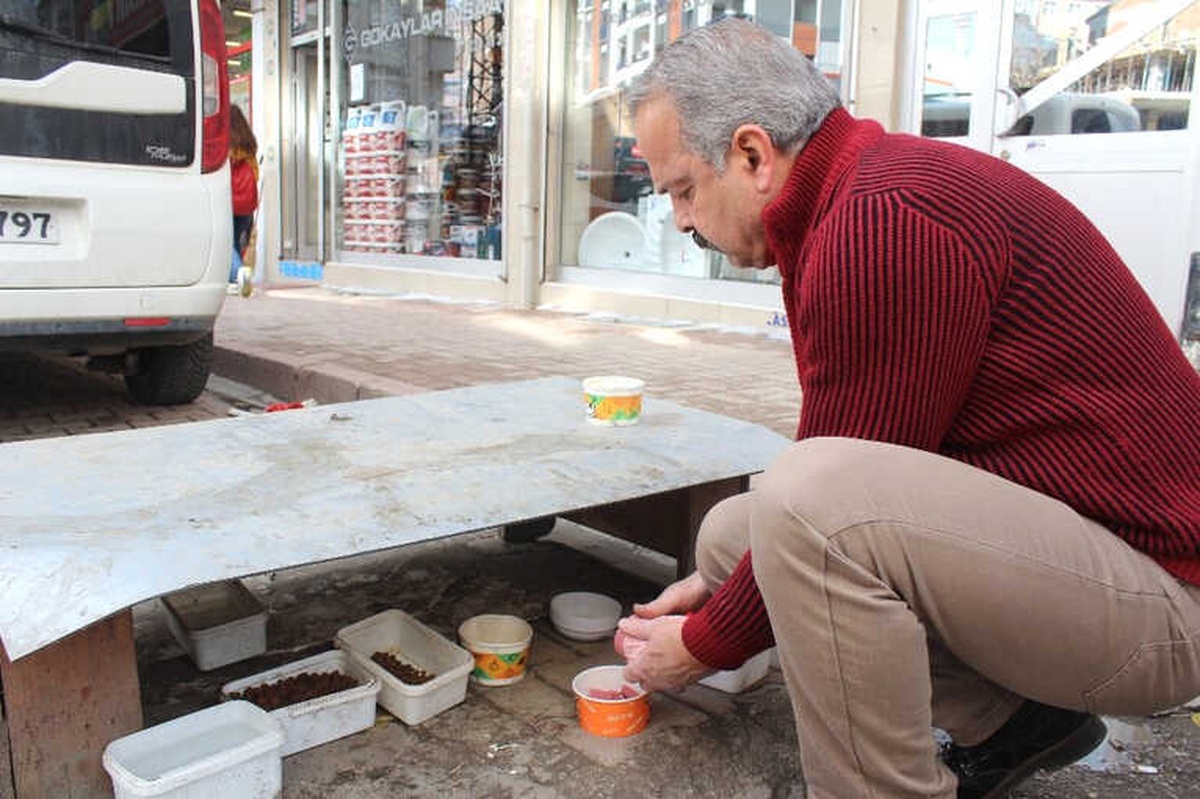 Esnaf, Sokak Hayvanlarına Sahip Çıkıyor