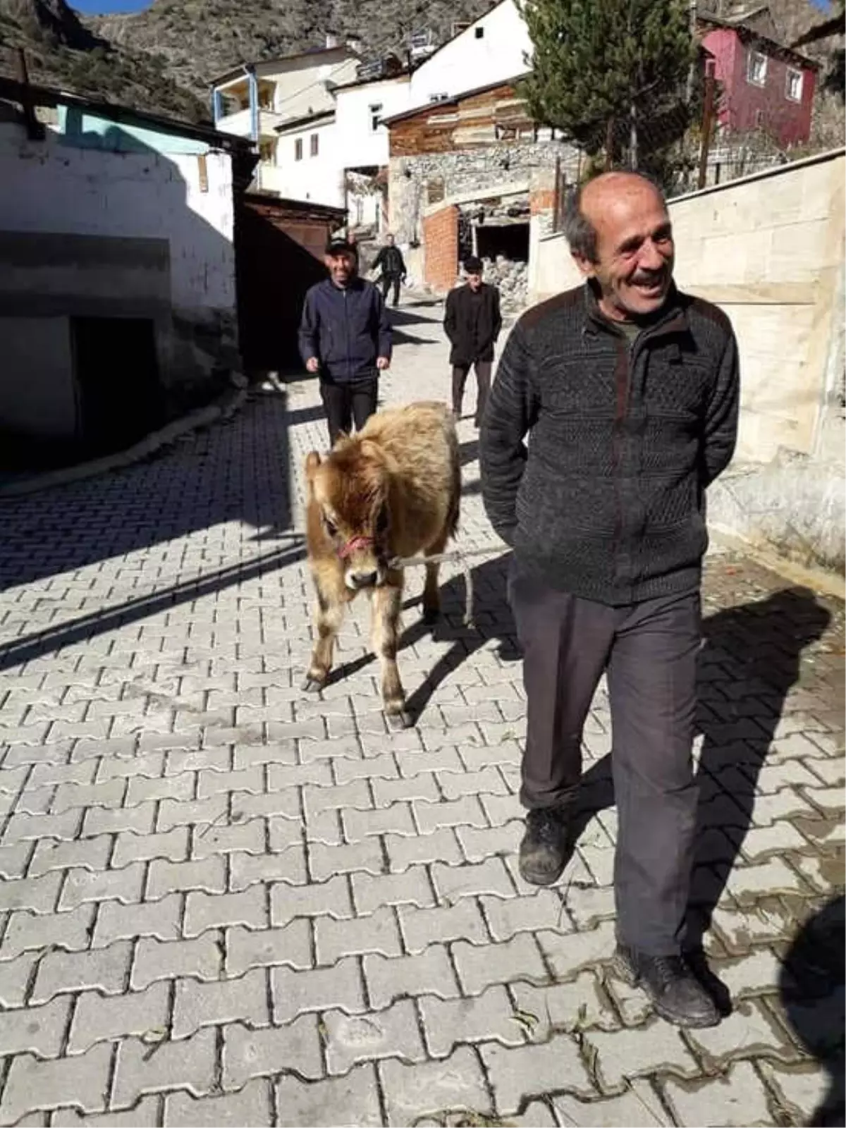 Yabani Hayvanlara ve Soğuk Kış Şartlarına Rağmen Dağda Tek Başına 3 Ay Yaşadı