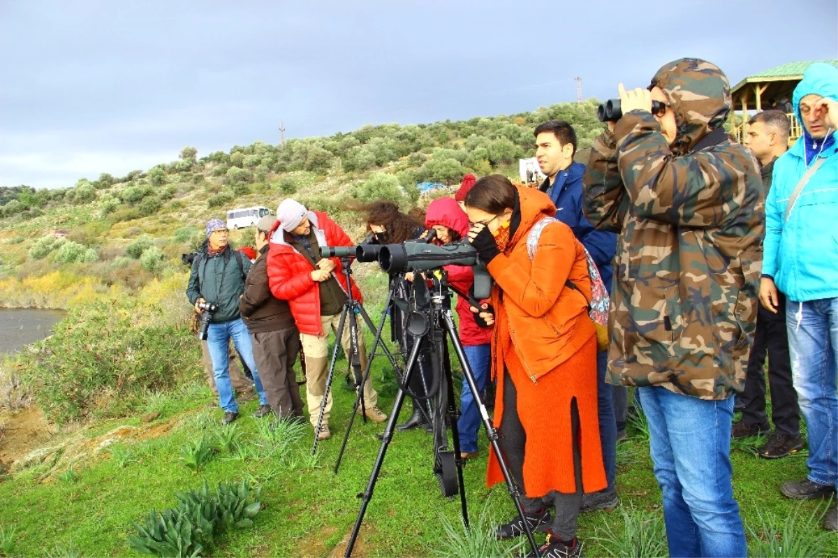 Aydın\'da Kış Turizmi Değil Kuş Turizmi Başladı