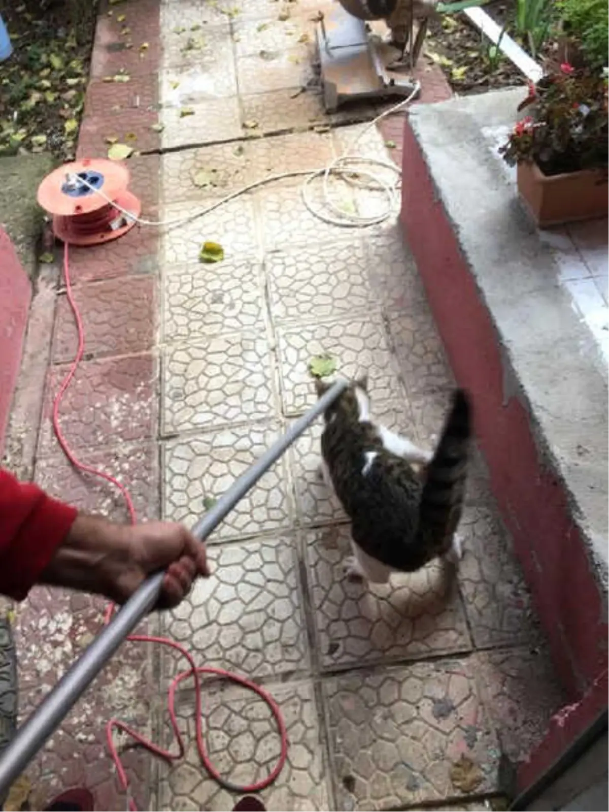 Havalandırma Boşluğunda Mahsur Kalan Kedi Kurtarıldı