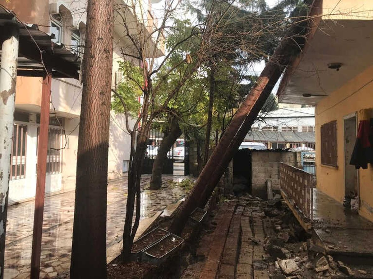 Rüzgar Ağaç ve Duvarı Yıktı